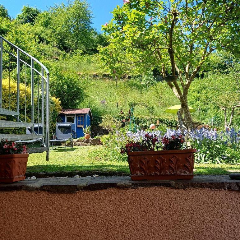 Ferienwohnung Haus Bleser كوتشيم المظهر الخارجي الصورة